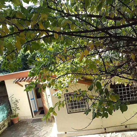 Apartman Poerio *