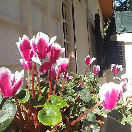 Poerio